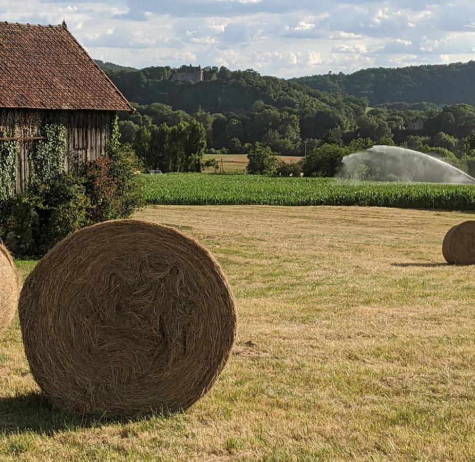 Domaine De Fleurie Bed and Breakfast Tursac Buitenkant foto